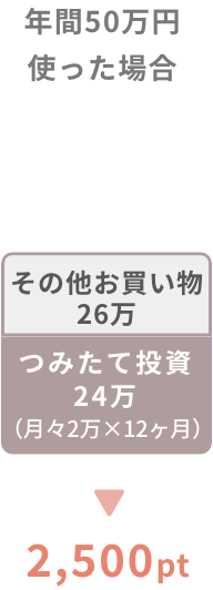 N50~gꍇ 2500pt
