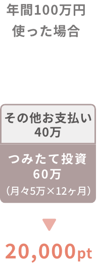 N100~gꍇ 20,000pt