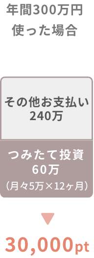 N300~gꍇ 30,000pt