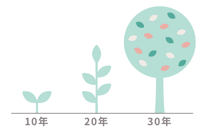 30N̒ڐ^p 30ЂɍiďW{